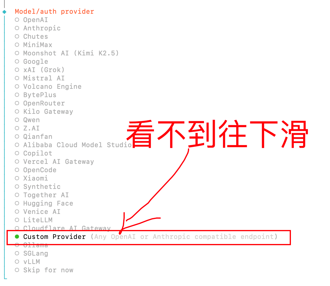 OpenClaw 向导的 Model/auth provider 选项列表，上方是 OpenAI、Anthropic 等官方选项，底部 Custom Provider 选项以绿色高亮