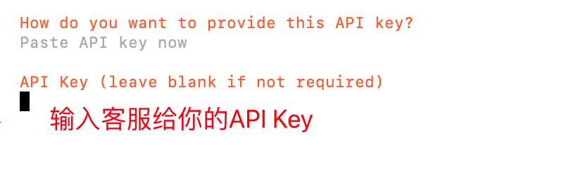 OpenClaw 向导的 API Key 输入界面，红色文字提示输入客服提供的 API Key，下方是密钥输入框